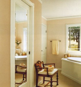 Jeld-Wen Mirror Door single