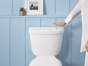 KOHLER Touchless